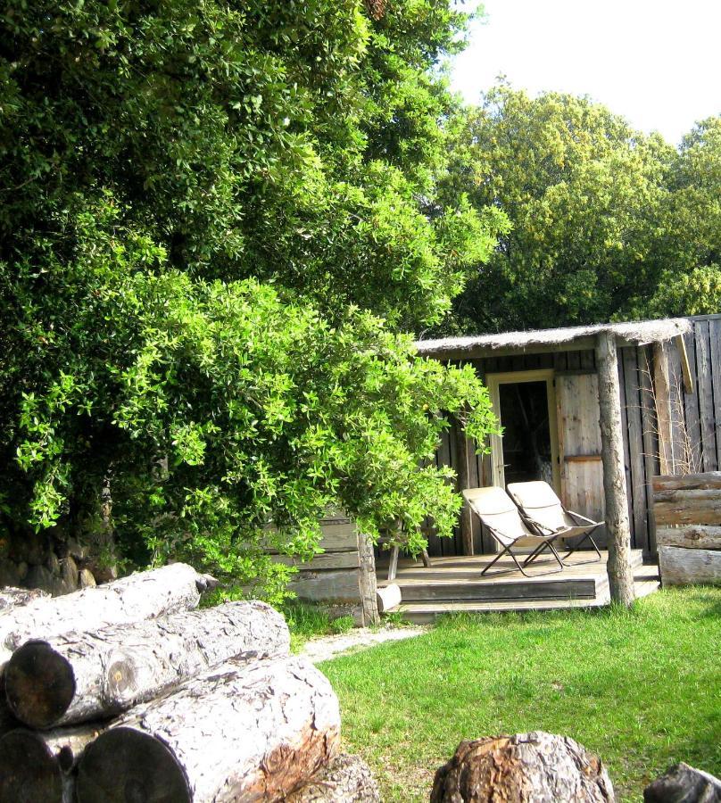 Lodges En Provence - Ecogites & Restaurant Insolites Richerenches Екстериор снимка