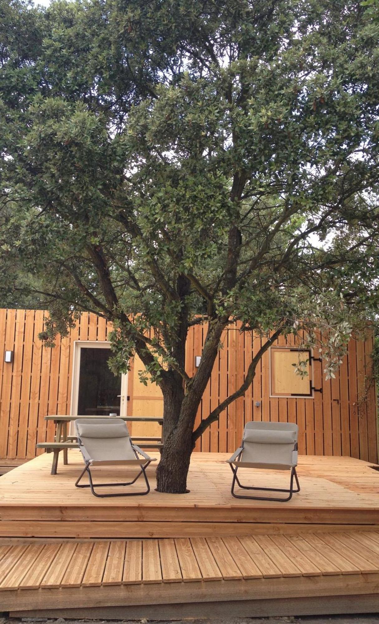 Lodges En Provence - Ecogites & Restaurant Insolites Richerenches Стая снимка
